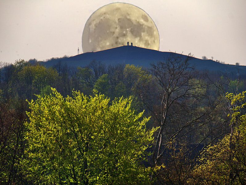 Lente Maan van Edgar Schermaul