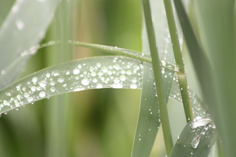 waterdruppels par Claas-Jan Jager