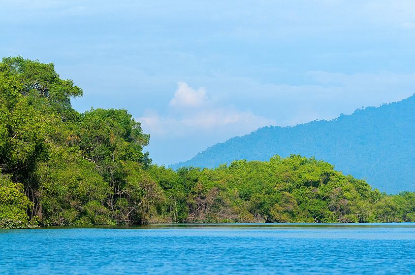 Ecuador: Churute Mangroves Ecological Reserve (Guayaquil) von Maarten Verhees