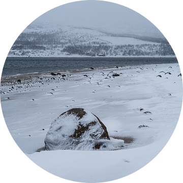Besneeuwd strand bij de Barentszzee van Timo Bergenhenegouwen