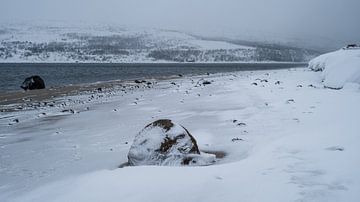Besneeuwd strand bij de Barentszzee