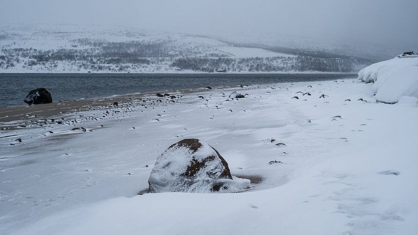 Plage enneigée au bord de la mer de Barents par Timo Bergenhenegouwen