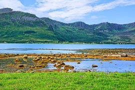 Blick über den Risøysundet auf Andøya von Gisela Scheffbuch