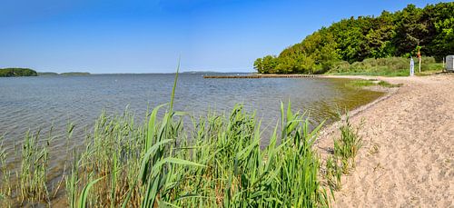 Lagune in Lietzow op het eiland Rügen, natuurlijk strand