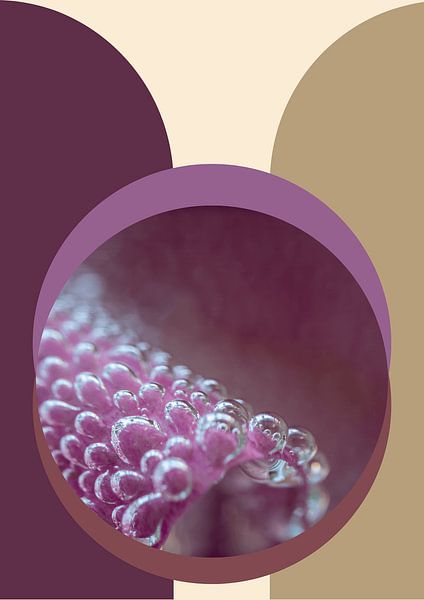 Art-Roos with bubbles by @Unique