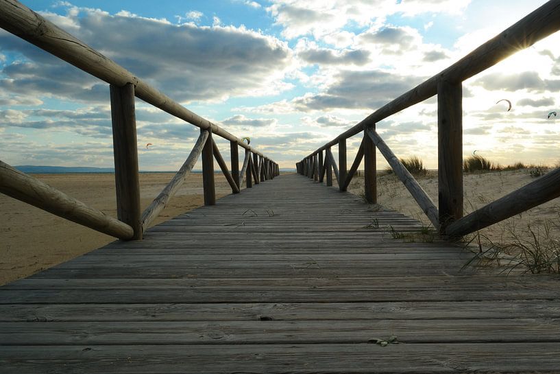 walk on by Peet de Mos