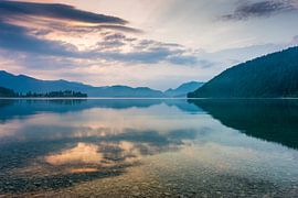 Sommermorgen am Walchensee von Martin Wasilewski