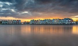 Reed puddle wooden by petra van oorschot