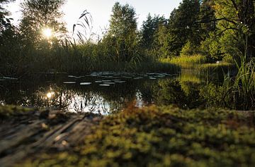 Zonsondergang bij het meer in Zweden van Martin Köbsch