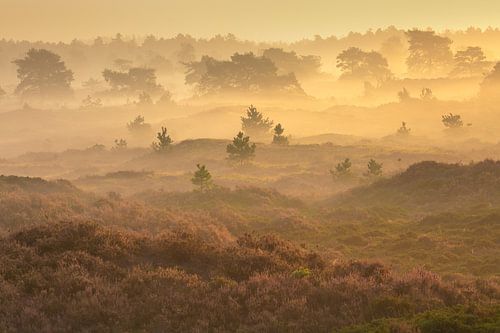 Le paysage de la Drenthe