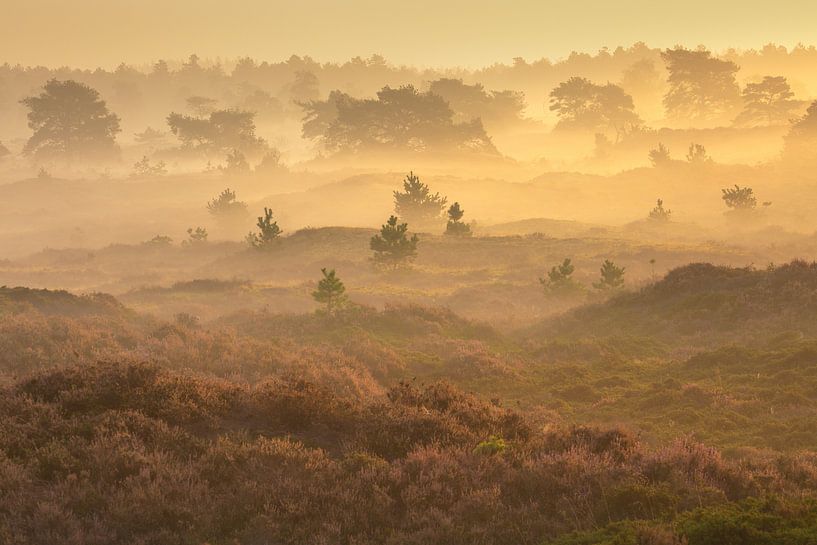 Landschaft in Drenthe von Andy Luberti