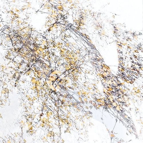 Herfst bos abstract