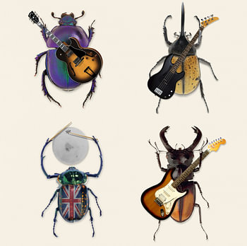 The Beatles