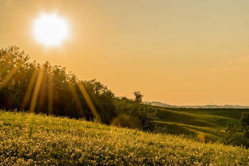 Romantische zonsondergang boven het veld van Patrick Verhoef