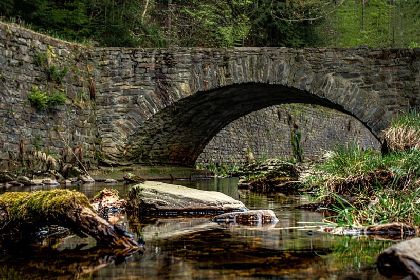 Im Schwarzwassertal im Erzgebirge von Johnny Flash