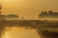 Hollands landschap in de mist van Rob Saly thumbnail