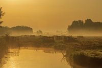 Hollands landschap in de mist