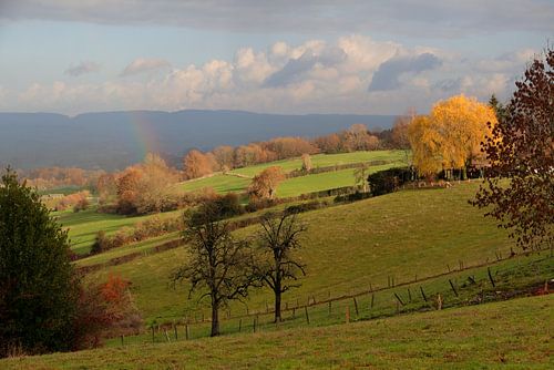 Late herfst in Henri-Chapelle (B) - Late fall in Henri-Chapelle (B)