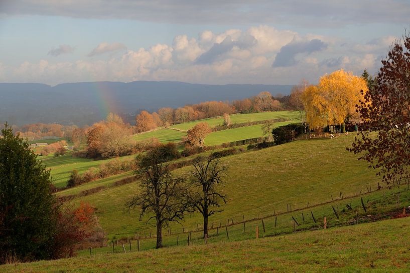 Late herfst in Henri-Chapelle (B) - Late fall in Henri-Chapelle (B) van Ton Reijnaerdts