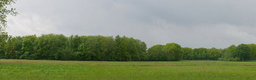 Waldflecken im Reesttal von Wim vd Neut