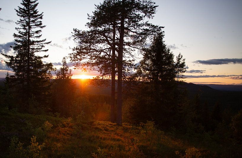 Zonsondergang op een warme zomeravond in Zweden van Kim Hoozemans