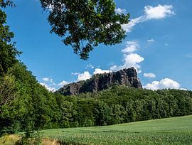 View of the Lilienstein in Saxon Switzerland by Animaflora PicsStock