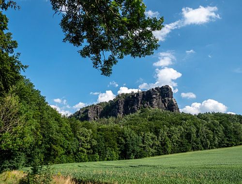 Uitzicht op de Lilienstein in Saksisch Zwitserland