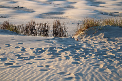 Le vent et les traces de pas