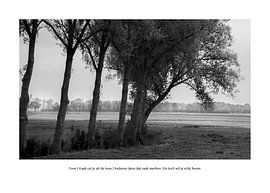 Hoe Kijkt Autisme: Toon van Ivo Ketelaar