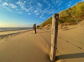 Strand Holland von Michael Ruland Miniaturansicht