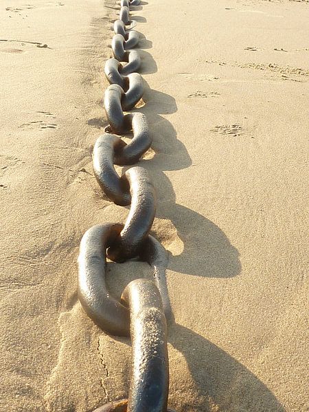 strong by Marjolijn de Jongh