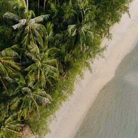 Tropical island | Palm trees on tropical sea - aerial view by Marit Hilarius