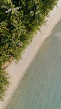 Île tropicale | Palmiers sur mer tropicale - vue aérienne sur Marit Hilarius