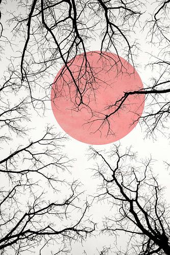 Door de takken van de bomen