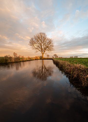 Mooi hollands polder plaatje van Hans Goudriaan