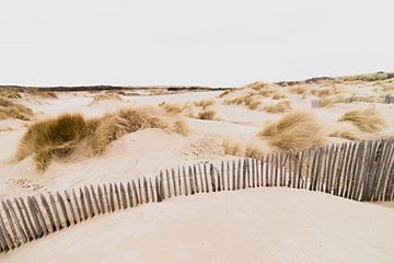 Dünen im Westduinpark in Scheveningen von Anne Zwagers