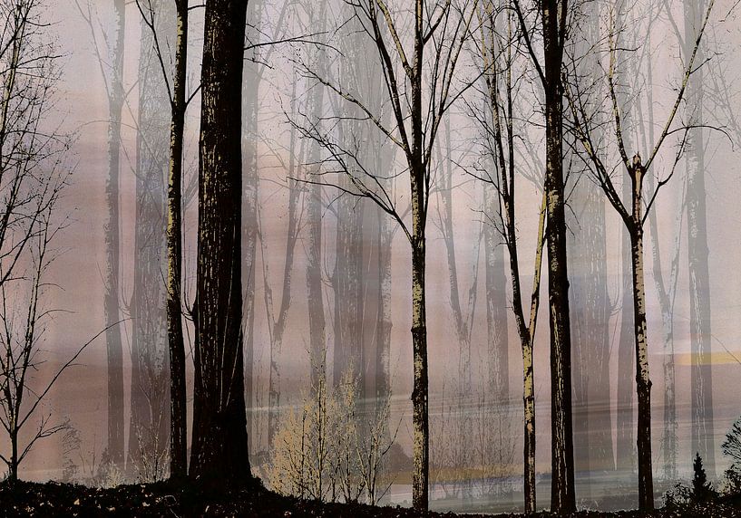 forêt vide par Henk Speksnijder