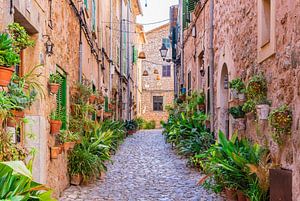 Majorque Espagne, rue des plantes dans le vieux village de Valldemossa