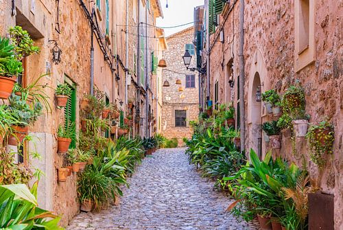 Mallorca Spanje, plantenstraat in het oude dorp Valldemossa