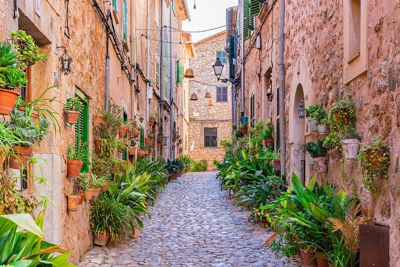 Majorque Espagne, rue des plantes dans le vieux village de Valldemossa par Alex Winter