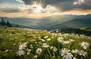 Sommer in den Bergwelten