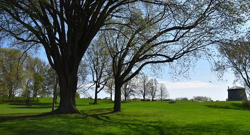 De velden van Abraham in de lente