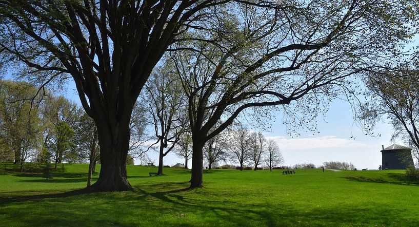 Abraham's fields in spring by Claude Laprise