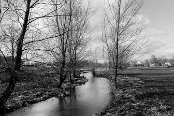 Zwart wit foto van de Limburgse Bleijenbeek