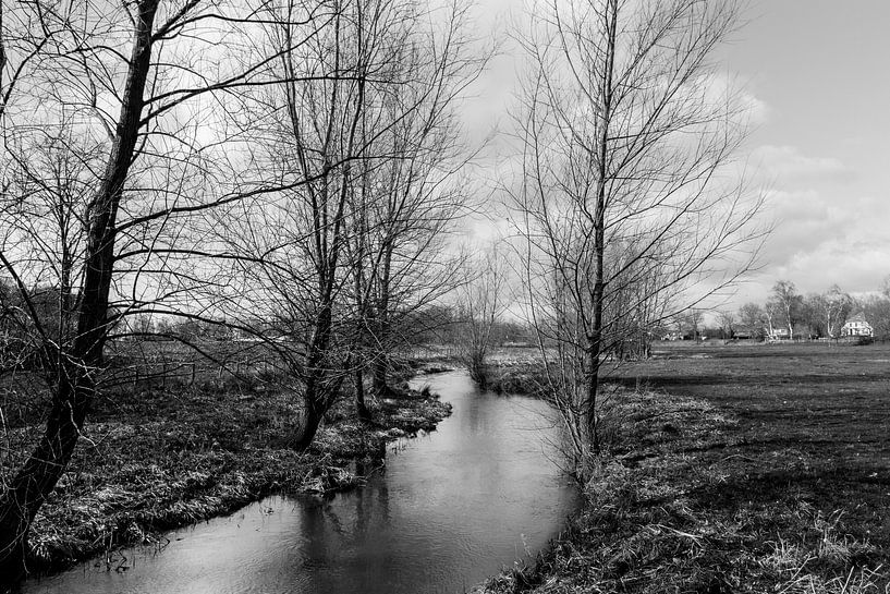 Black and white photo of the Limburg Bleijenbeek by Patrick Verhoef