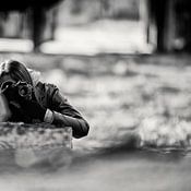 Isa Fotografie Profile picture