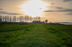 Grasdeich in Opheusden