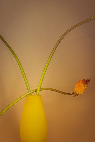 Stilleven in gele vaas tegen een gele achtergrond