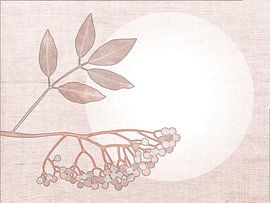 Naturgemälde: Beerenzweig vor der Sonne von Studio Pieternel