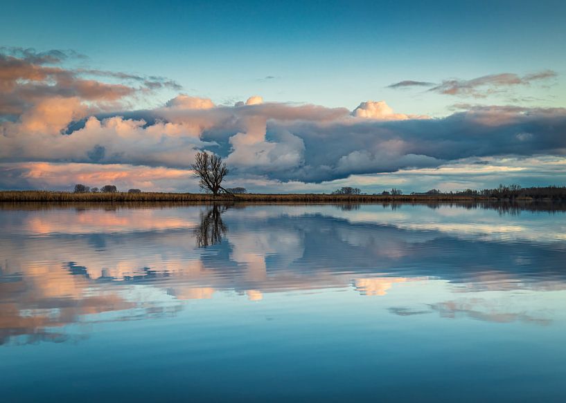mirror mirror by Wesley Kole